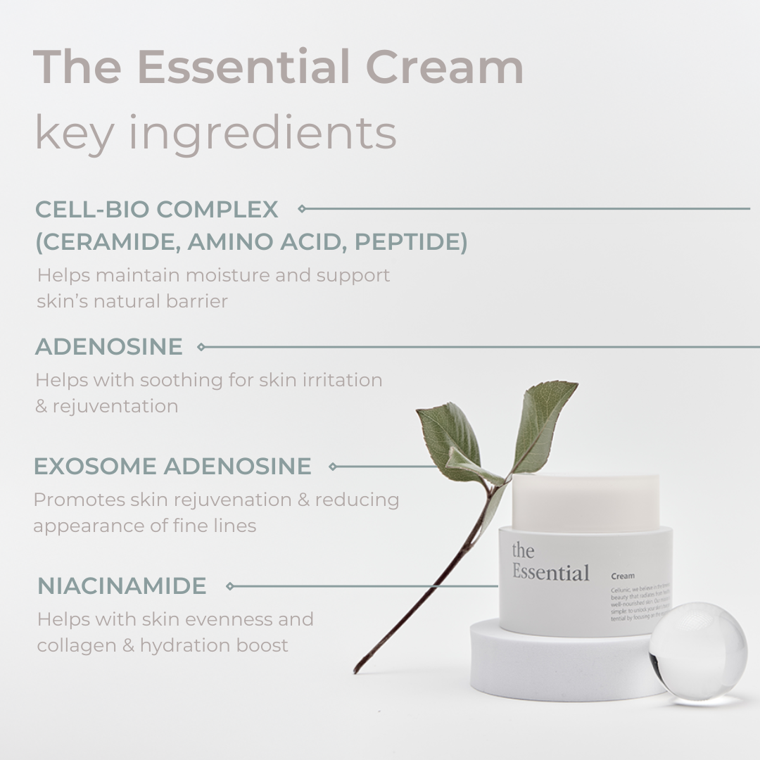 The Essential Cream